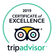 trip advisor